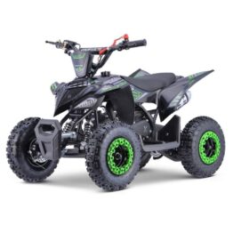 MINI QUAD RAPTOR 50cc