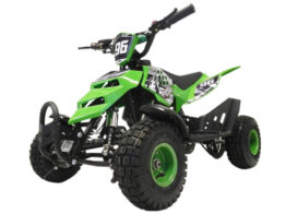 Mini Quad Raptor 50cc