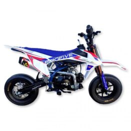 PIT BIKE SJR 110 10/10 MOTARD