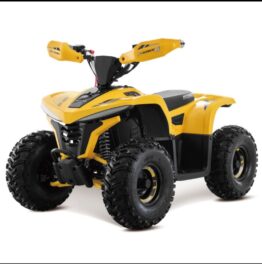 ATV E-CRUISE 1600 W